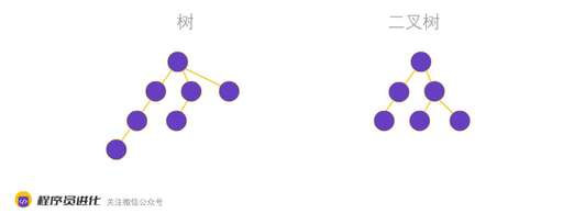 java 二叉樹求高度,若二叉樹有50個結點