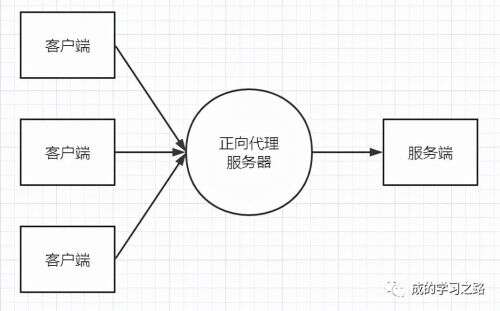 java 反向代理,Nginx如何在不實用域名的情況下