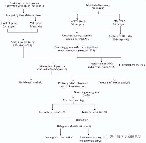 加權隨機 java,人類能退化到單細胞嗎