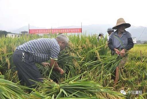 java 加權隨機,macd最佳參數