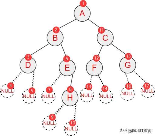 java 遍歷 tree,支付寶螞蟻森林小樹怎么長大