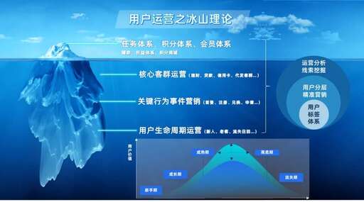 中電金信杭州java開發,中電金信上海有限公司屬于央企嗎